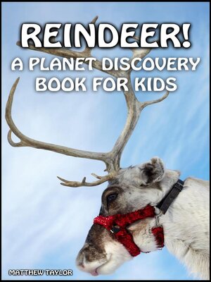 cover image of Reindeer!